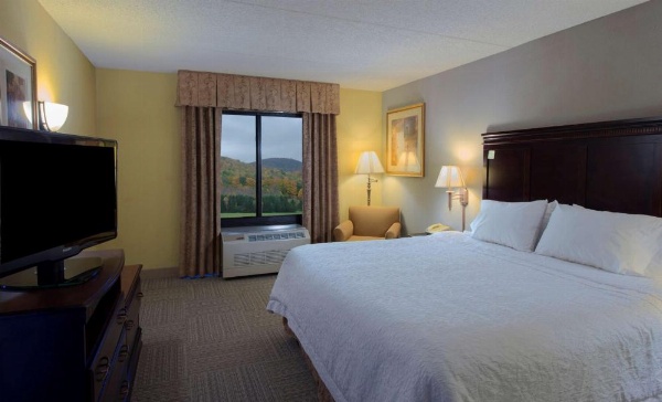Hampton Inn By Hilton Bennington image 24